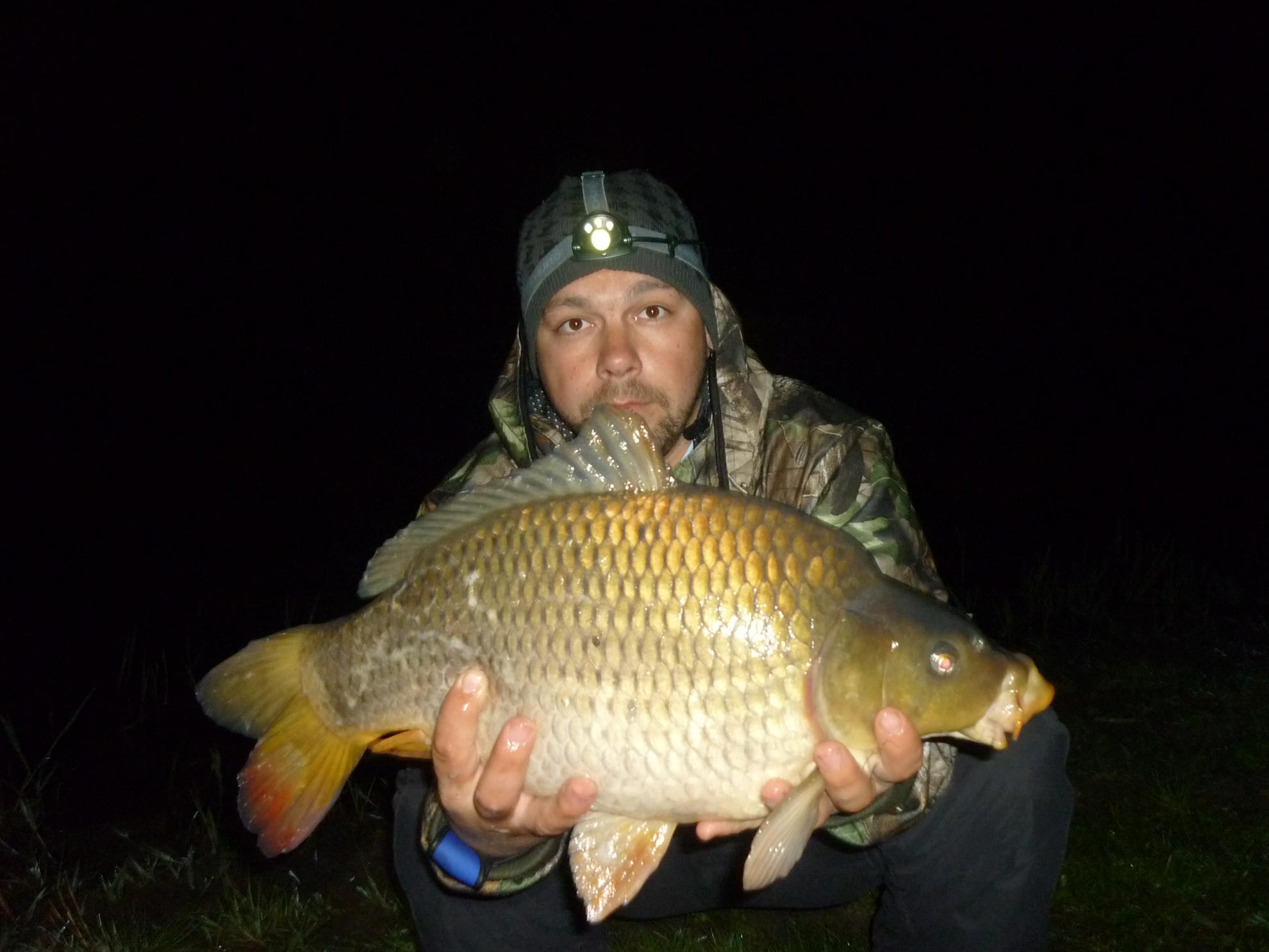 Stejeris 2011 - p1010963.JPG